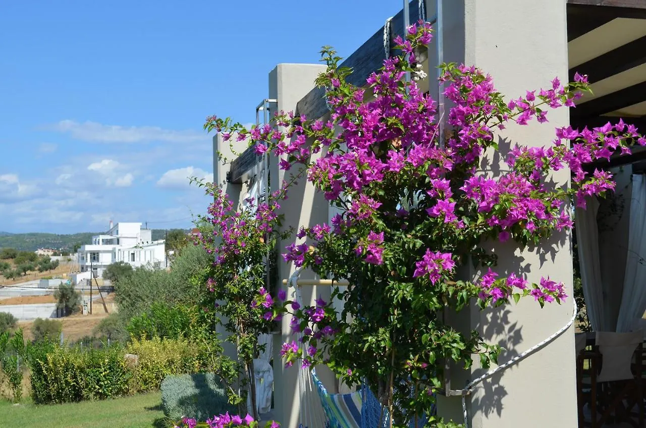 Thea Sea View Detached Villa, Nikiti 0*, Nikiti (Sithonia) Greece