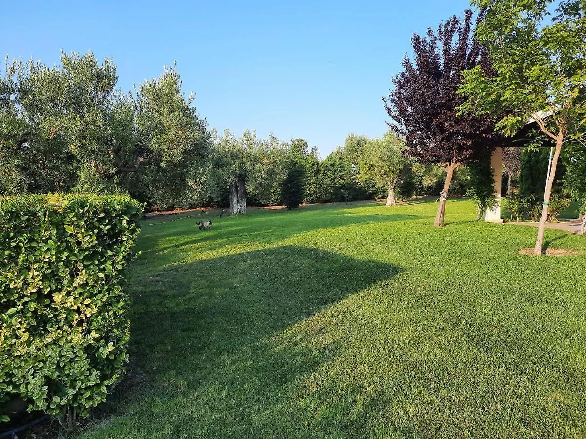 Thea Sea View Detached Villa, Nikiti 0*, Nikiti (Sithonia) Greece